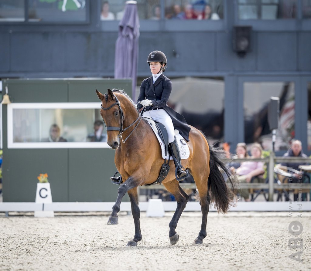 Cirano terug naar zijn vorige huis